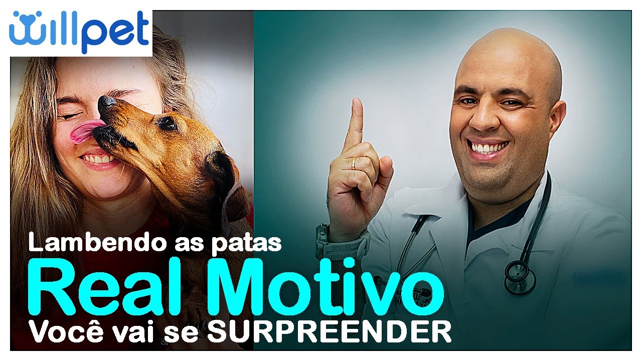 3 DICAS E SINAIS DE ALERTA – Por que meu CACHORRO fica LAMBENDO AS PATAS, se mordendo ou coçando?