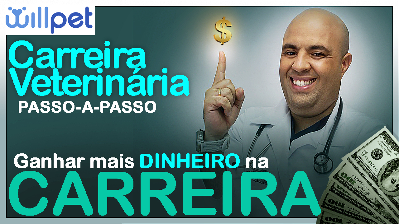 Médico Veterinário – Curso – Profissão | Como ganhar dinheiro na Carreira ou Empreendendo