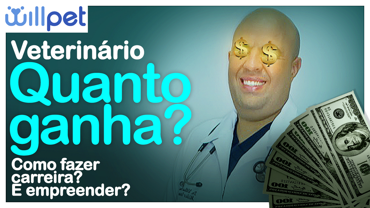 MÉDICO VETERINÁRIO | Quanto ganha um MÉDICO VETERINÁRIO no Brasil? Como crescer na profissão, como EMPREENDER e ganhar mais de R$ 7.272,00 por mês